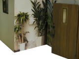 60cm x 50cm x H 25cm